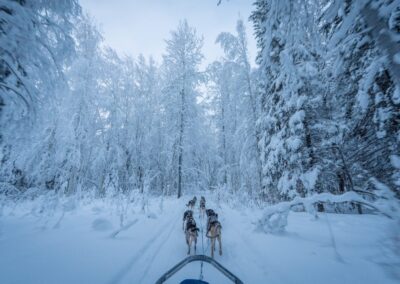 a group of people riding on the back of a sled down a snow covered